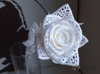  你如何看待3D打印藝術(shù)？他能否成為藝術(shù)的未來？